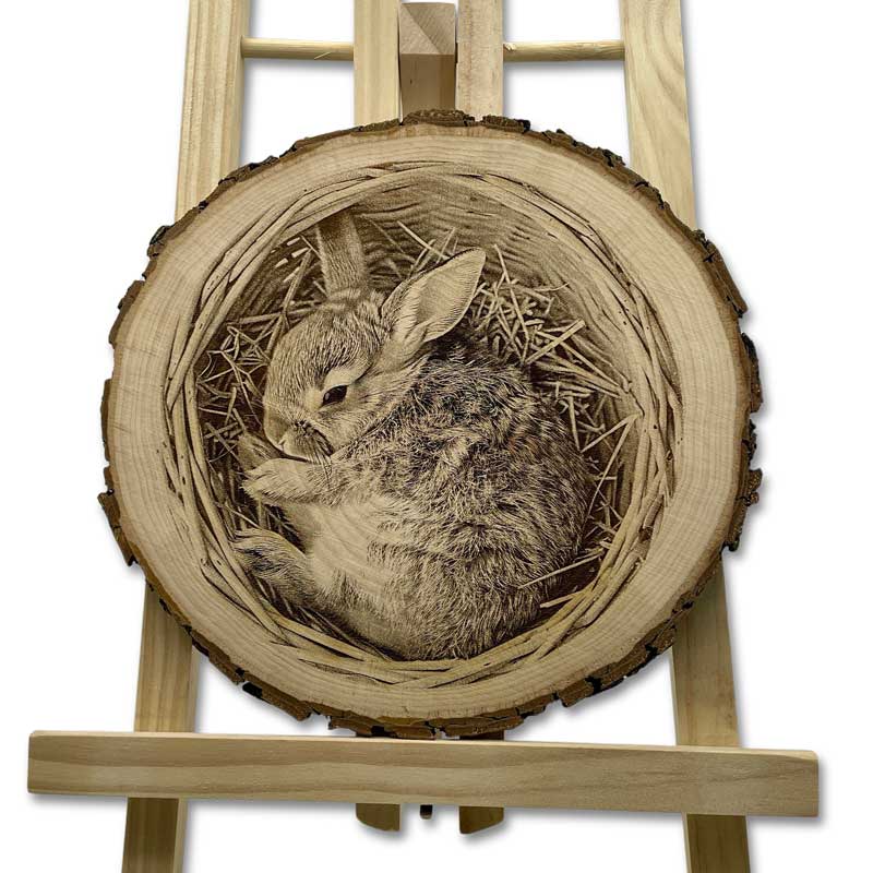 Detailreiche Gravur eines Osterhasen im Nest auf einer runden Baumscheibe – ideale Frühlingsdeko aus Holz