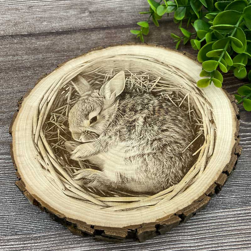 Holzbaumscheibe mit liebevoll graviertem Osterhasen im Nest – rustikale Osterdeko aus Naturmaterial