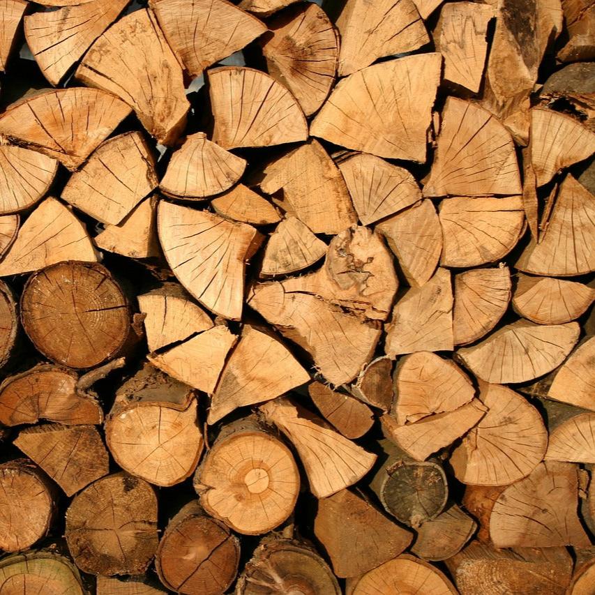 Holzstämme - Holzarten
